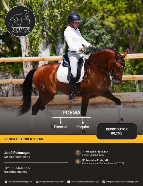 Perfeito dos Concelhos